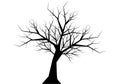 Dry twig tree silhouette black on white background vector Royalty Free Stock Photo