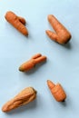 Dry and ugly carrots on blue background