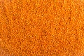 Dry unbroken orange lentils texture Royalty Free Stock Photo