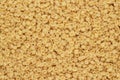 Dry uncooked conchiglie pasta texture background