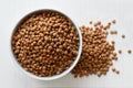 Dry unpeeled red lentils in white ceramic bowl isolated on paint Royalty Free Stock Photo