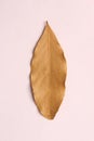Dry vanilla leaves
