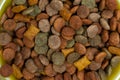 Dry varied cat food closeup. Royalty Free Stock Photo
