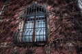 Dry vine waiting for spring warmth entwine the old stone wall with window Royalty Free Stock Photo