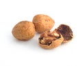 Dry walnut fruit Royalty Free Stock Photo