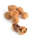 Dry walnut fruit Royalty Free Stock Photo