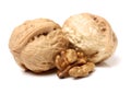 Dry walnut fruit studio isolated Royalty Free Stock Photo