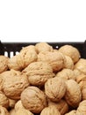 Dry walnut fruit studio isolated Royalty Free Stock Photo