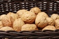 Dry walnut fruit studio isolated Royalty Free Stock Photo