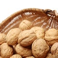 Dry walnut fruit studio isolated Royalty Free Stock Photo