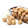 Dry walnut fruit studio isolated Royalty Free Stock Photo