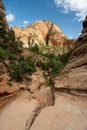 Dry Wash Of Pine Creek In Zion