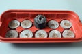 dry and wet peat tablets for planting small flower seeds in a plastic box Royalty Free Stock Photo