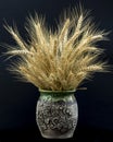 Dry wheat ears and barley spikes in the ceramic vase. Royalty Free Stock Photo