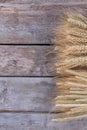 Dry wheat ears on wooden background. Royalty Free Stock Photo