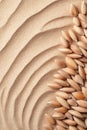 Dry wheat grains piled on wavy desert sand close up. Royalty Free Stock Photo