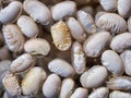 Dry White Beans Soaking in Water Royalty Free Stock Photo