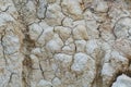 Dry white clay, natural material, atmospheric impact, outdoors. Background cracked, horizontal close-up photo