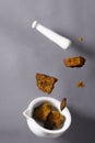 Dry Wild Chaga Mushroom pieces, white pestle and meortar falling on the grey background, inonotus obliquus, Ingredient Royalty Free Stock Photo