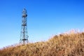Dry Winter Grass and Comunication Tower Against Blue Sky Royalty Free Stock Photo