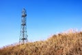 Dry Winter Grass and Comunication Tower Against Blue Sky