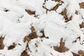 dirty snow