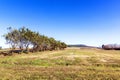 Dry Winter Rural Tree Lined Grassland Meadow