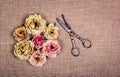 Dry withered roses and old rusty scissors on a natural linen background.