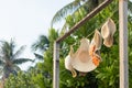 Dry women`s hat in the sun,summer atmosphere