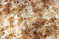 Dry wood shavings background. Wood dust texture. Sawdust pattern closeup. Sawdust floor texture. Top view. Sawdust close up . Wood Royalty Free Stock Photo