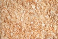 Dry wood shavings background texture. Wood dust. Sawdust pattern closeup. Sawdust detail floor texture. Top view flat layout Royalty Free Stock Photo