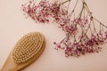 Dry wooden anti cellulite brush for self home massage near a purple gypsophila on a pink background. Spa concept Royalty Free Stock Photo