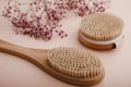 Dry wooden brushes for self home massage near a purple gypsophila on a pink background. Spa and body care concept Royalty Free Stock Photo