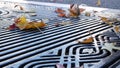 Dry yellow autumn fallen maple leaves, metal grate on ground of american street. Royalty Free Stock Photo