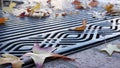 Dry yellow autumn fallen maple leaves, metal grate on ground of american street. Royalty Free Stock Photo