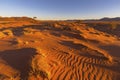 Dry yellow grass and wind swept patterns in the sand Royalty Free Stock Photo
