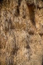 Dry yellow hay Royalty Free Stock Photo