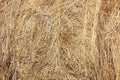 Dry yellow hay, straw, grass, background texture Royalty Free Stock Photo