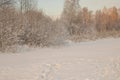 Dry yellow reeds on the shore of a pond in winter. Winter, heavy sky over the lake.winter landscape with lake full of Royalty Free Stock Photo