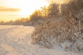 Dry yellow reeds on the shore of a pond in winter. Winter, heavy sky over the lake.winter landscape with lake full of Royalty Free Stock Photo