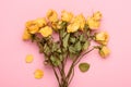 Dry yellow roses bouquet on pink Royalty Free Stock Photo
