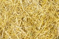 Dry yellow straw grass background texture after havest Royalty Free Stock Photo