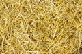 Dry yellow straw grass background texture after havest Royalty Free Stock Photo