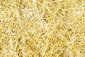 Dry yellow straw grass background texture after havest