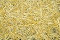 Dry yellow straw grass background texture after havest Royalty Free Stock Photo