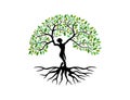 Dryad tree logo. Unique Tree Vector illustration