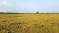 Dryed out Lake in Kalpitiya