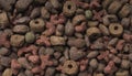Dryed pet food background texture. Royalty Free Stock Photo