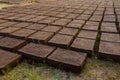 Drying adobe bricks Royalty Free Stock Photo