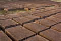Drying adobe bricks Royalty Free Stock Photo